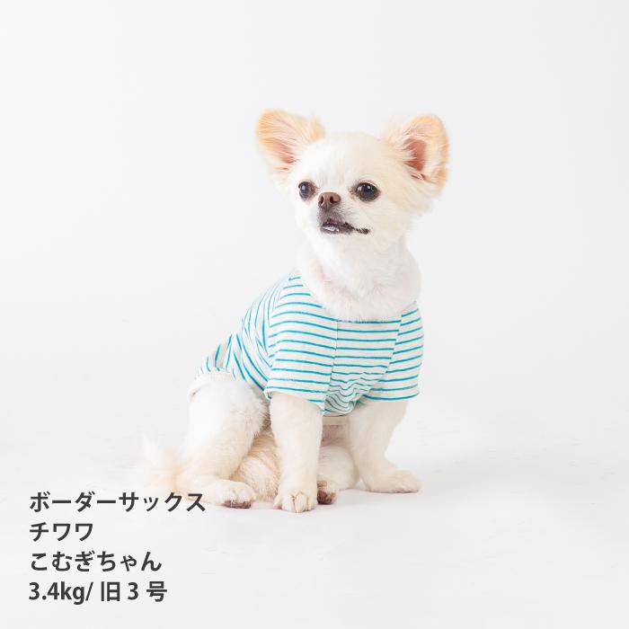 VERY 犬服 コットン100％ Tシャツ 小型犬 ダックス 胴長 フレブル パグ