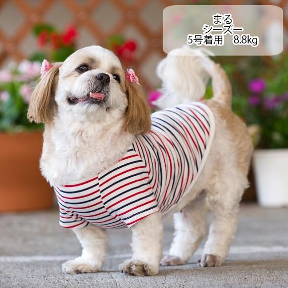 犬服 VERY コットンTシャツ 小型犬 ダックス 胴長 フレブル パグ 春夏 秋冬 おしゃれ 安い 可愛い お揃い ペットウェア ペット服 綿100％ 無地 ボーダー｜very-pet｜09