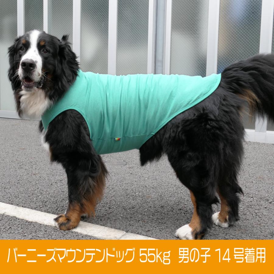 犬 服 Very 超大型犬 コットンタンクトップ 綿100 13号 14号 ドッグウェア 大型犬 Nb4ll Very Pet ヤフーショップ 通販 Yahoo ショッピング