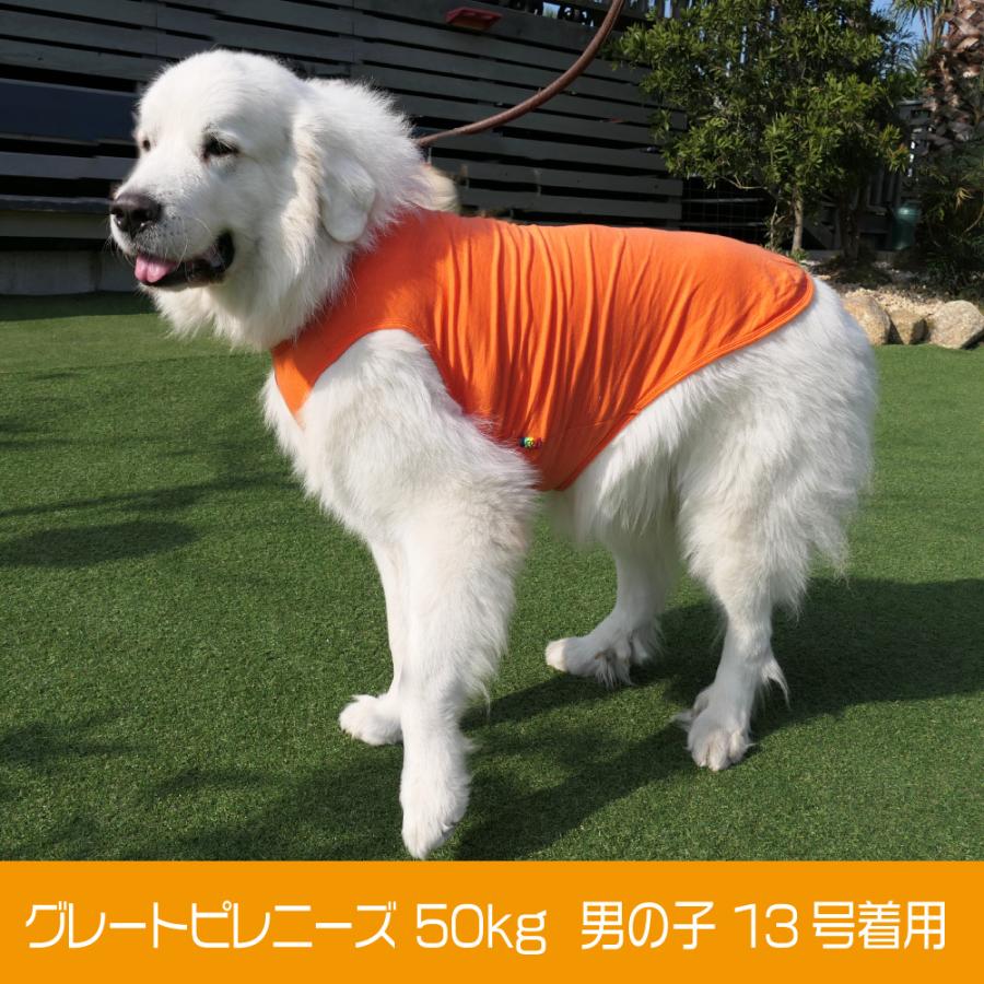 犬 服 Very 超大型犬 コットンタンクトップ 綿100 13号 14号 ドッグウェア 大型犬 Nb4ll Very Pet ヤフーショップ 通販 Yahoo ショッピング