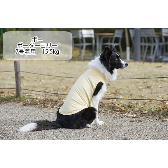 犬 服 Very 中型犬 コットンタンクトップ 綿100 6号 7号 ドッグウェア Nb4m Very Pet ヤフーショップ 通販 Yahoo ショッピング