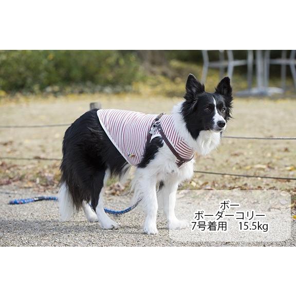 犬 服 Very 中型犬 コットンタンクトップ 綿100 6号 7号 ドッグウェア Nb4m Very Pet ヤフーショップ 通販 Yahoo ショッピング
