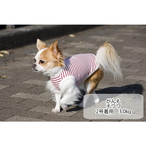 犬服 VERY コットンタンクトップ 小型犬 ダックス 胴長 フレブル パグ 春夏 秋冬 おしゃれ 安い 可愛い お揃い ペットウェア ペット服 綿100％ 無地 ボーダー｜very-pet｜05