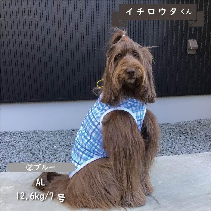 犬服 ドッグウェア VERY 接触冷感 フード付き撥水クールタンクトップ 夏 春 春夏 夏服 中型犬 コーギー おしゃれ 安い 可愛い クール 袖なし 2024SS｜very-pet｜04