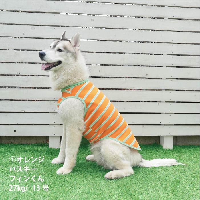 アースカラー　犬服タンクトップ VERY 犬服 熱中症対策 接触冷感 コットンボーダータンクトップ 大型犬