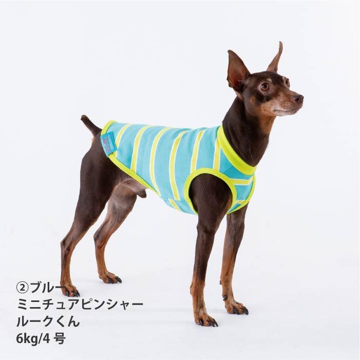 VERY 犬服 熱中症対策 接触冷感 コットンボーダータンクトップ 大型犬