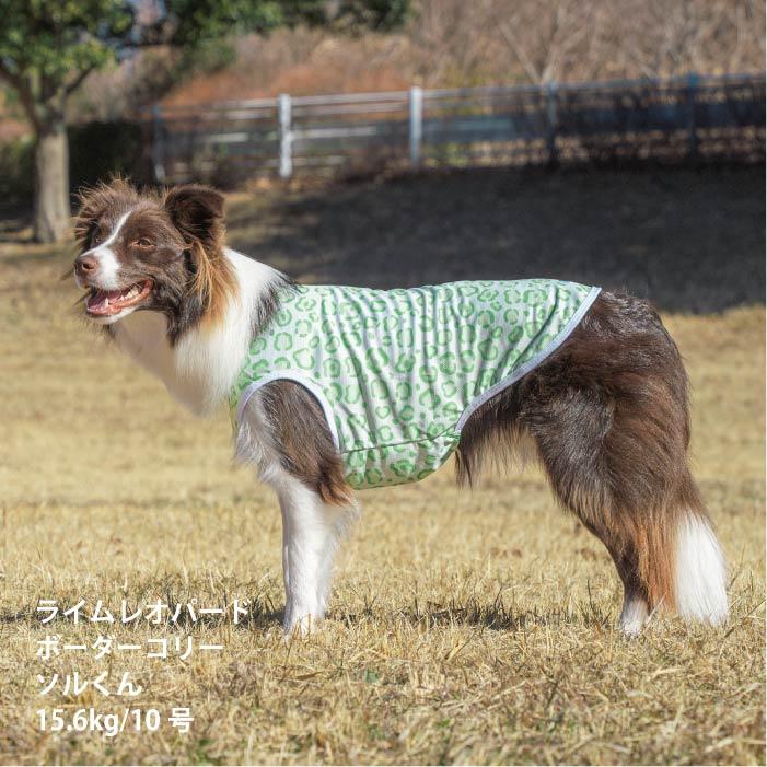VERY 犬服 熱中症対策 接触冷感 ポップクールタンクトップ レオパード 