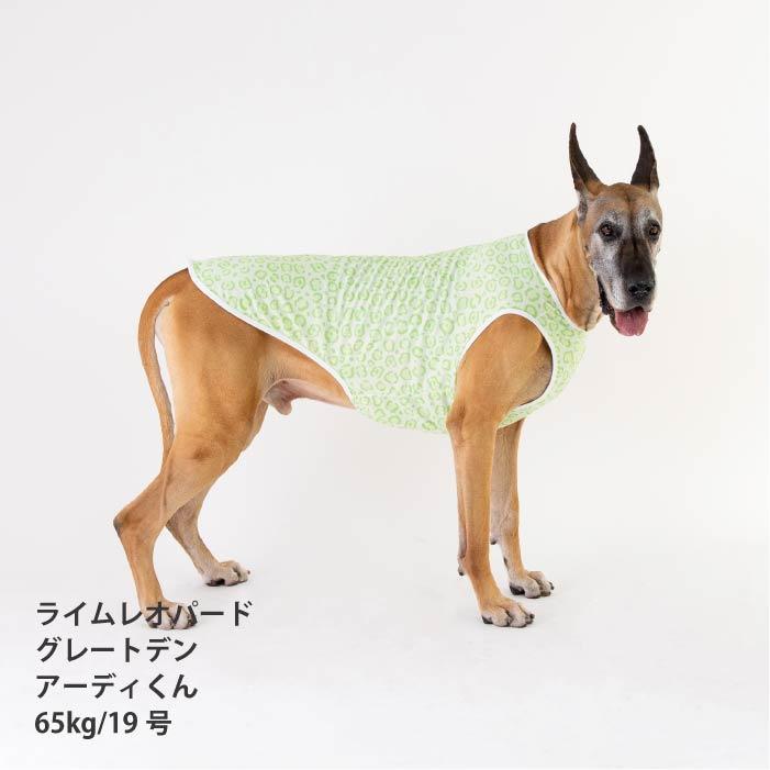 VERY 犬服 熱中症対策 接触冷感 ポップクールタンクトップ レオパード 