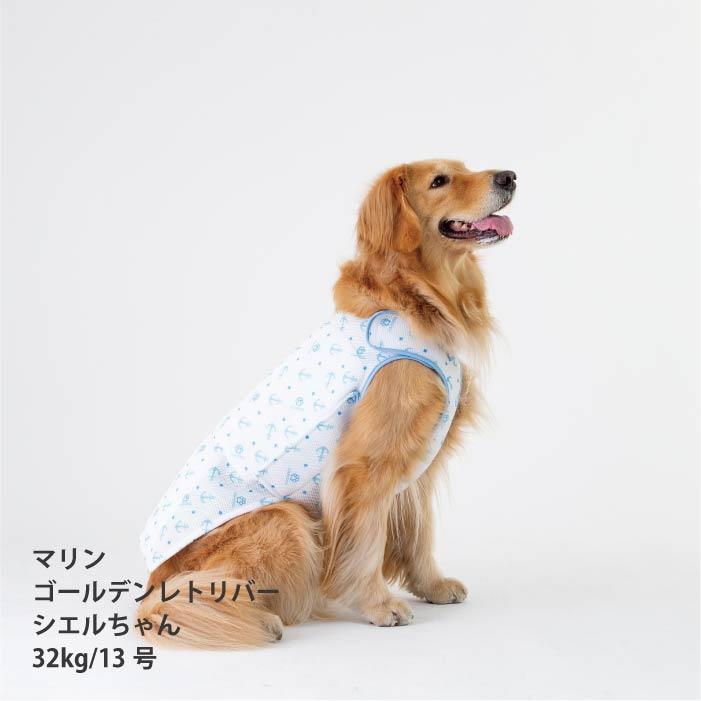 nov1012様の専用ページ　小型犬　犬服 VERY 小型犬 熱中症対策 保冷剤付 クールベスト 犬 夏服 ひんやり