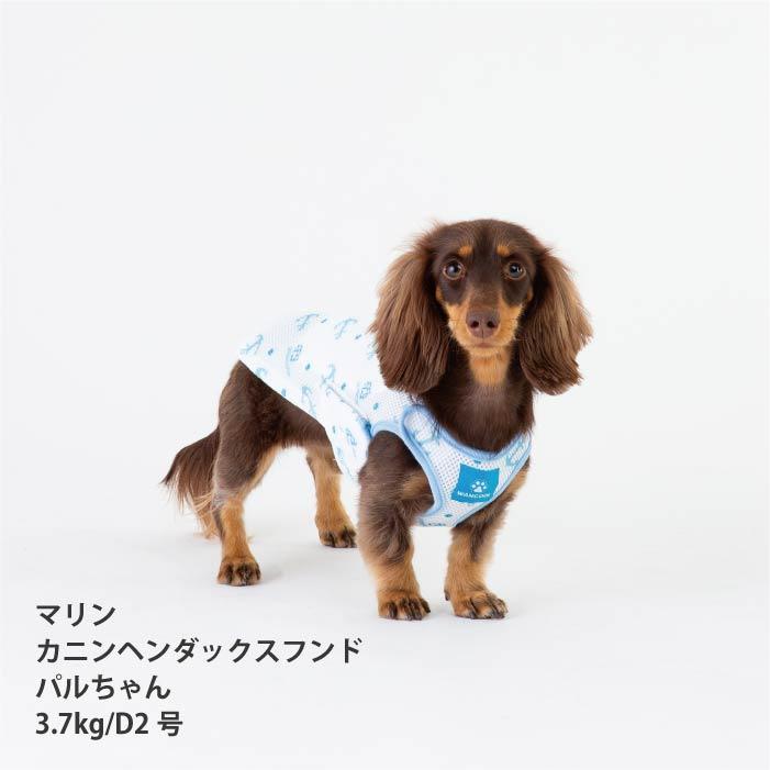 VERY 小型犬 熱中症対策 保冷剤付 クールベスト 犬 夏服 ひんやり