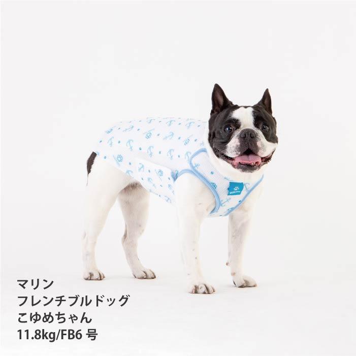 VERY 犬服 熱中症対策 【フレブル パグ 】やわらか保冷剤付 ワンクール