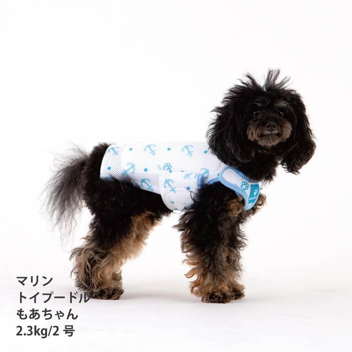 VERY 小型犬 胴長 ダックス 新サイズ 犬服 ペットウェア 専用やわらか