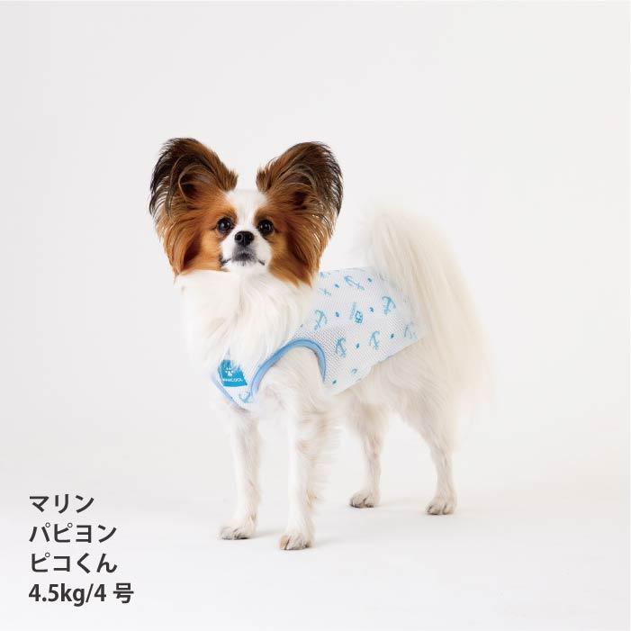 VERY 小型犬 胴長 ダックス 新サイズ 犬服 ペットウェア 専用やわらか