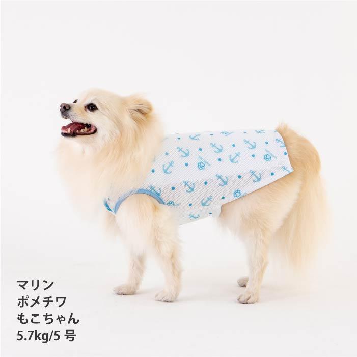 VERY 小型犬 胴長 ダックス 新サイズ 犬服 ペットウェア 専用やわらか
