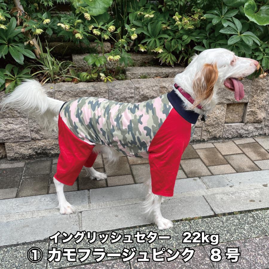 赤字特価セール - 先月購入しましたが、我が家は大型犬なので、別の物