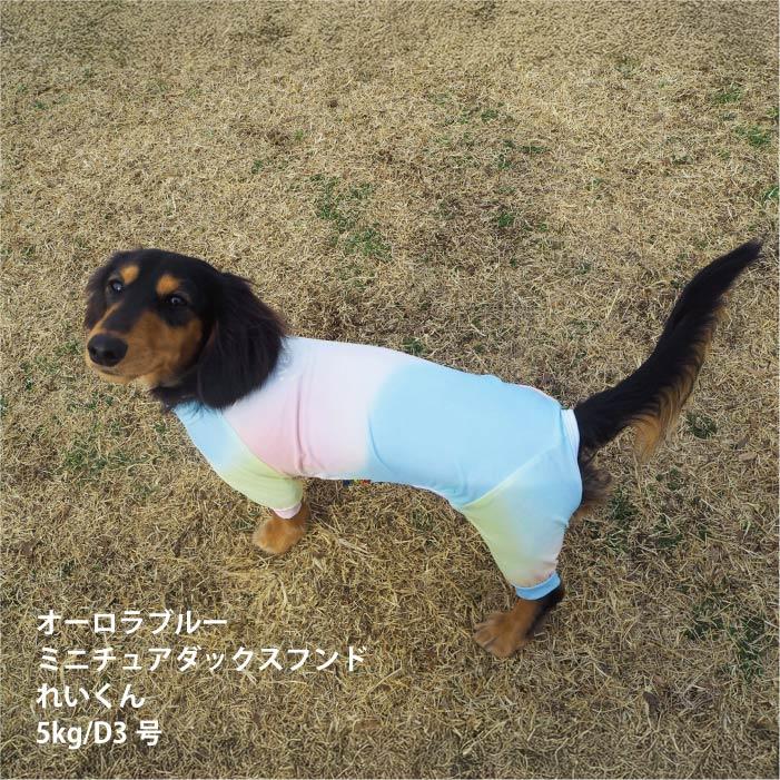 VERY 犬服 熱中症対策 接触冷感 リラックスクール ロンパース オーロラ