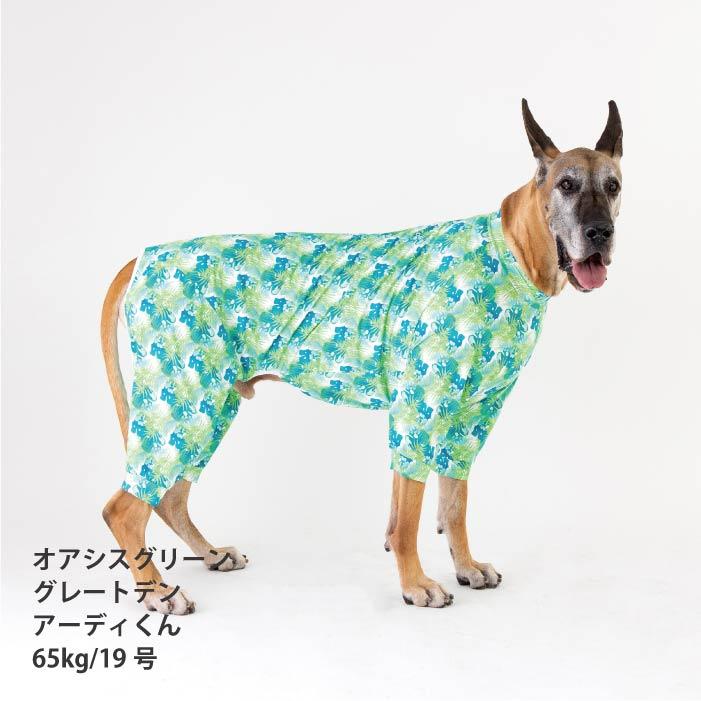 VERY 犬服 熱中症対策 接触冷感 リラックスクールロンパース オアシス