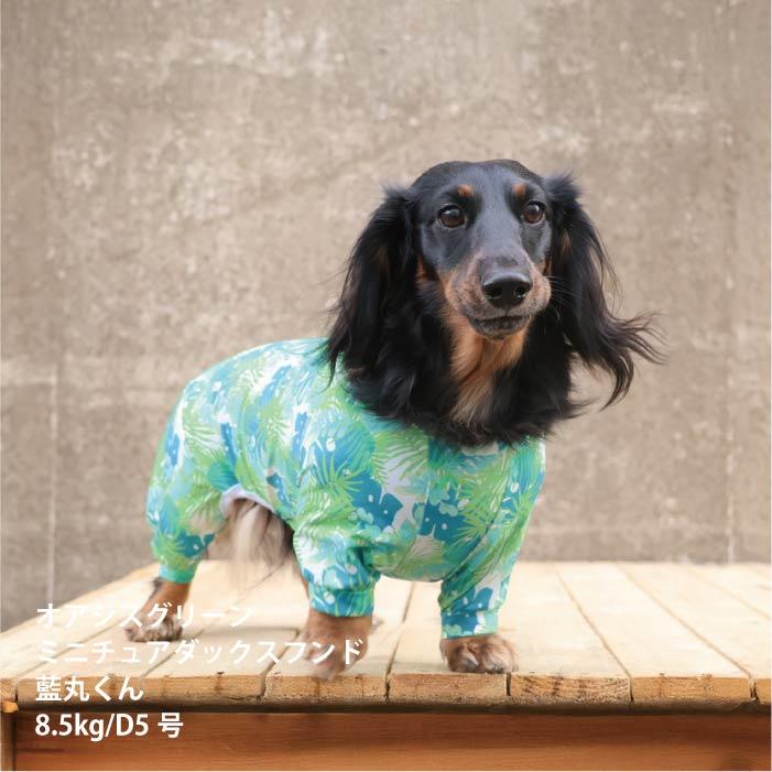 VERY 20％OFF セール 大型犬 ロンパース 紫外線対策 接触冷感 新