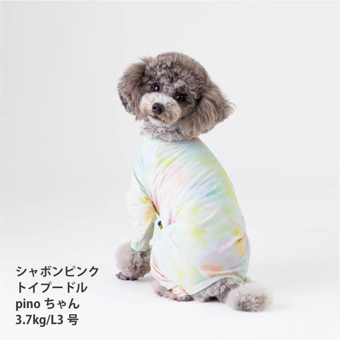 VERY 20％OFF セール 小型犬 胴長 ダックス 新サイズ 犬服
