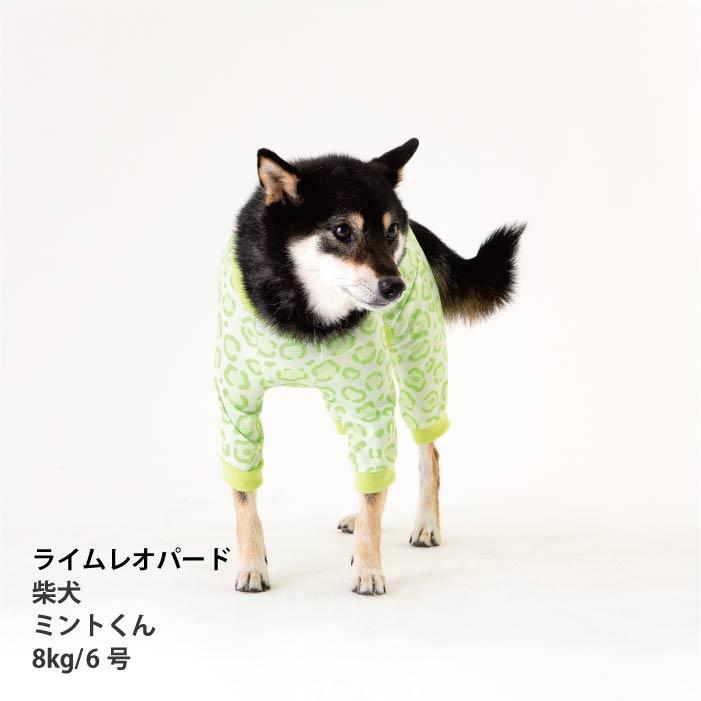 VERY 犬服 熱中症対策 接触冷感 ポップクール ロンパース ライム
