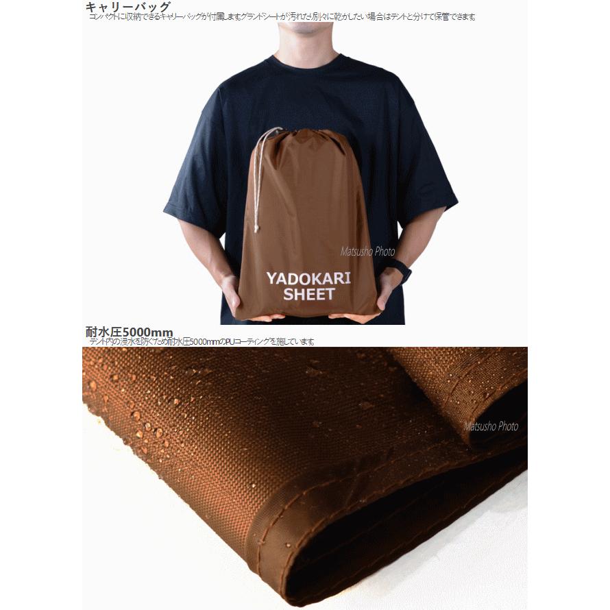 【全部セット】ヤドカリテント本体、ビッグポール、付属品、グランドシート DOD（ディーオーディー） ヤドカリテント ビッグタープポール グランド