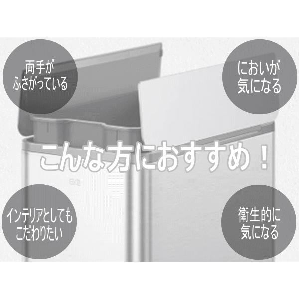 EKO（イーケーオー） ゴミ箱 ダストボックス ごみ箱 45L ステップ式