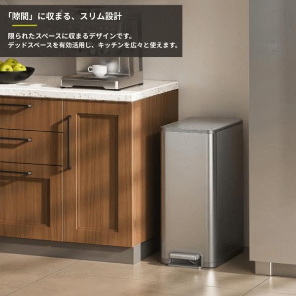 EKO（イーケーオー） ゴミ箱 ダストボックス ごみ箱 45L ステップ式