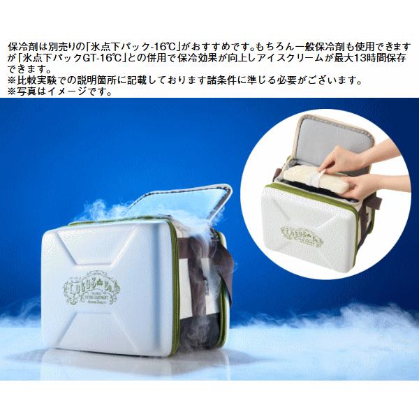 ロゴス クーラーボックス ソフトクーラー ハイパークーラー  保冷バッグ 保冷グッズ 限定デザイン アウトドア キャンプ LOGOS ハイパー氷点下クーラーM（2026LIMITED）81670076 LOGOS（ロゴス） クーラーボックス ソフトクーラー ハイパークーラー