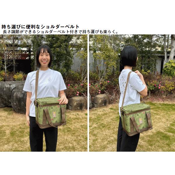 LOGOS（ロゴス） ソフトクーラー 抗菌クーラー クーラーバッグ 容量15L