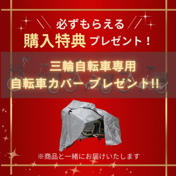 ミムゴ 電動三輪自転車 ノーパンク 電動自転車 三輪車 大人用 ACTIVEPLUS アクティブプラス ノーパンク電動アシスト三輪自転車 MG-TRM20APN  【MGC】の画像