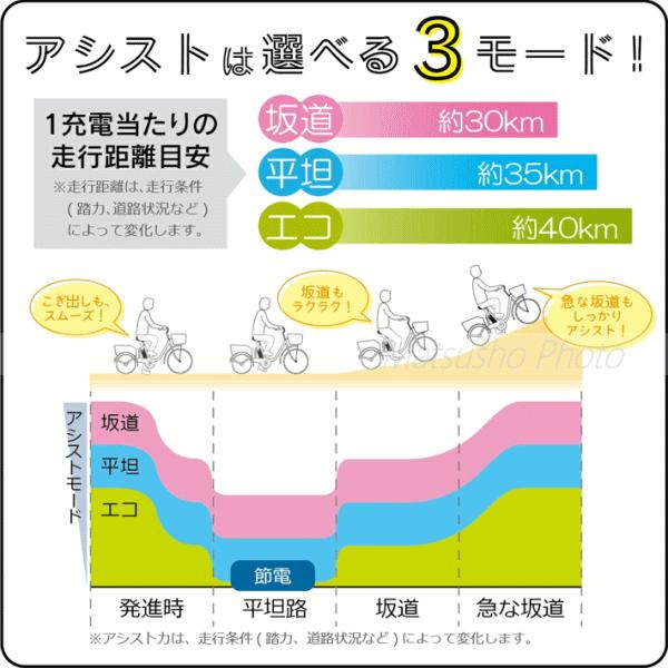 ミムゴ - 電動助けること 製造会社直送 20in 折畳み銀輪 ACTIVEPLUS 否張り裂ける電動助けることFDB20EB MG-AP20EBN 貨物輸送無料