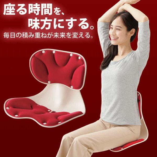 メイダイ 座椅子 美姿勢チェア 腰ラク 姿勢サポート チェア 姿勢矯正