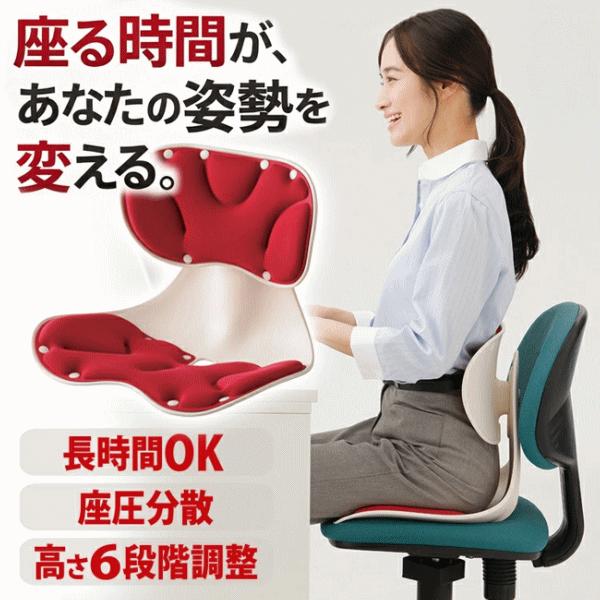 メイダイ 座椅子 美姿勢チェア 腰ラク 姿勢サポート チェア 姿勢矯正