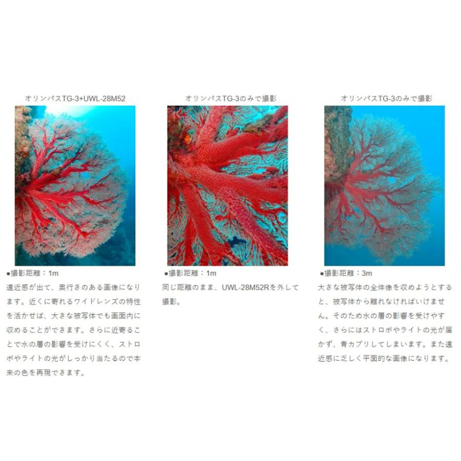 Fisheye フィッシュアイ コンバージョンレンズ UWL-28M52MG FIX ワイド 