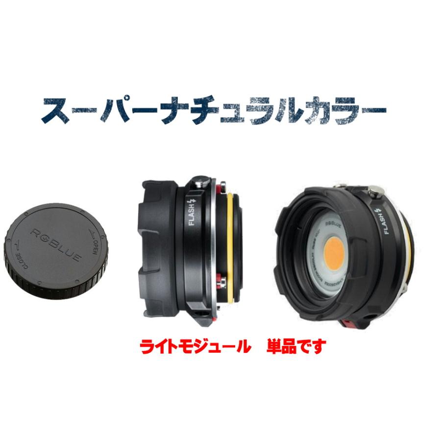 RGBlue ライトモジュール LM5K2600S2 スーパーナチュラルカラー アール 