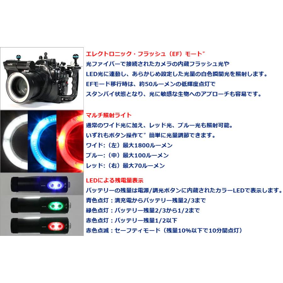 WEEFINE WF リングライト3018 #30479 水中ライト ダイビング WEEFINE WF リングライト3018 #30479 水中ライト ダイビング
