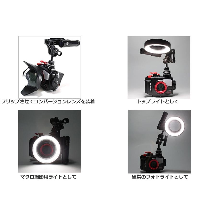 WEEFINE WF リングライト3018 #30479 水中ライト ダイビング WEEFINE WF リングライト3018 #30479 水中ライト ダイビング