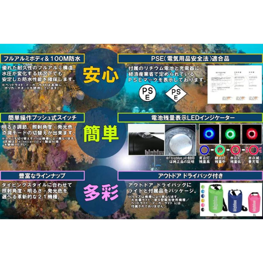 ZERO（ダイビング） BIGBLUE AL-1300NP Camo ダイビング 水中ライト 