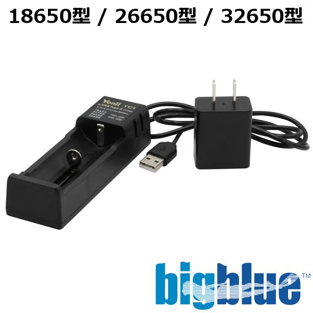Bigblue ダイビングライト　バッテリー・充電器付き BIGBLUE USB 充電器 ダイビング 水中ライト リチウム バッテリー