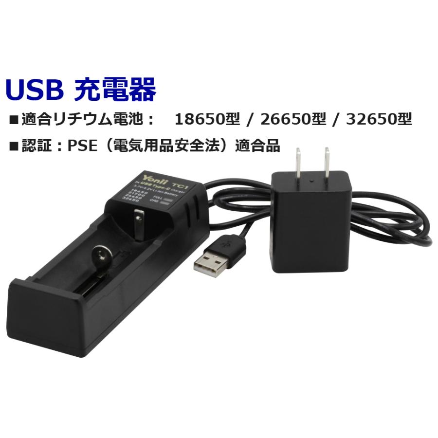 Bigblue ダイビングライト　バッテリー・充電器付き BIGBLUE USB 充電器 ダイビング 水中ライト リチウム バッテリー
