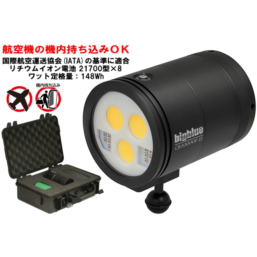 BIGBLUE ビッグブルー 水中ライト LED CB-30000PII 大光量 ダイビング ライト ストロボ ワイド 動画 スポット ...
