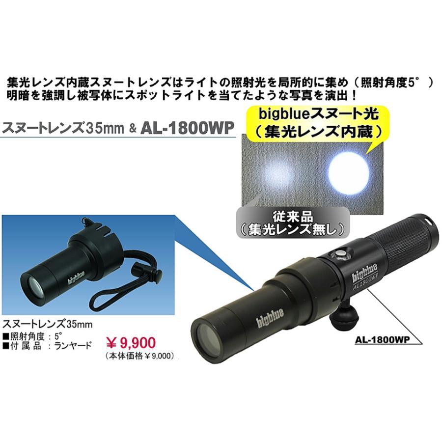 専用◇The New Old Light 大&中　青2点 フリル付きパール釦ボウタイリボンシアーブラウス