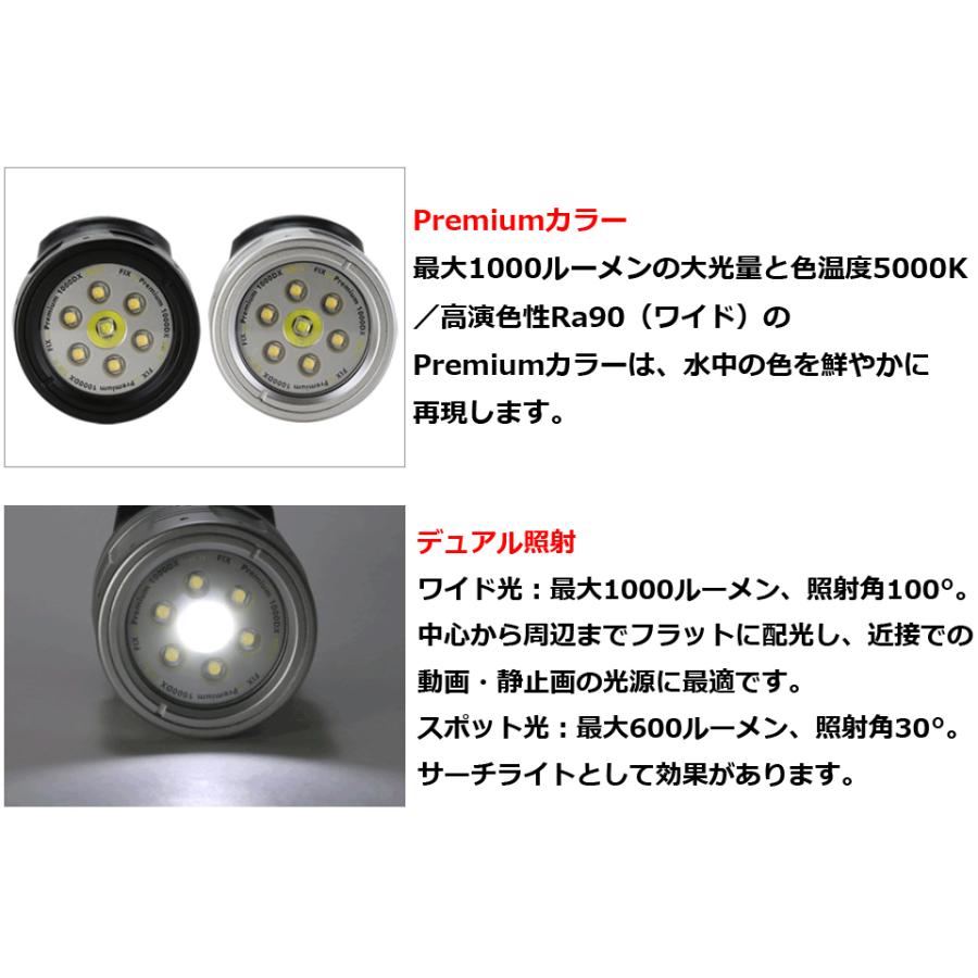 Fisheye フィッシュアイ FIX NEO Premium 1000DX SW2 プレミアム Fisheye フィッシュアイ FIX NEO Premium 1000DX SW2 プレミアム
