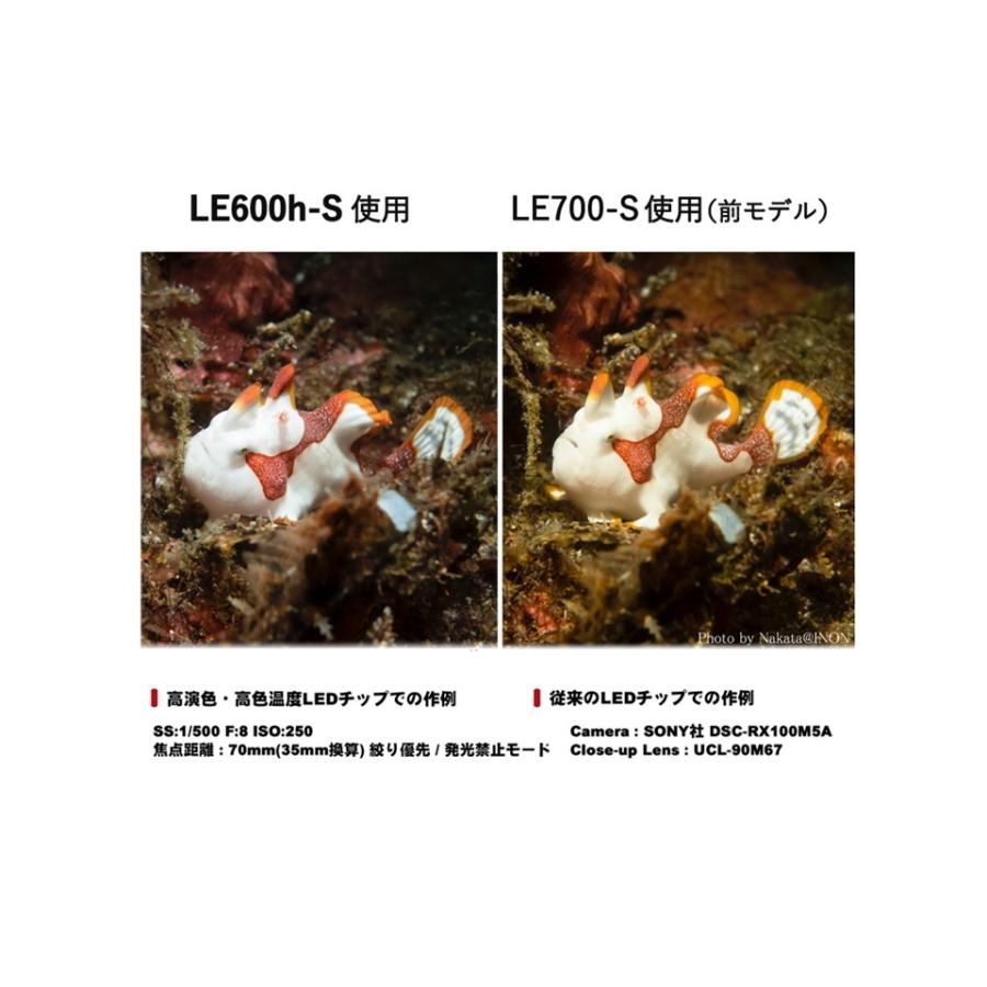INON イノン LE600h-S　水中LEDライト 防水ライト 軽量、ターゲットライト ストロボ LED ナイトダイビング ダイビング 水陸 マクロ 撮影 水中カメラ_2