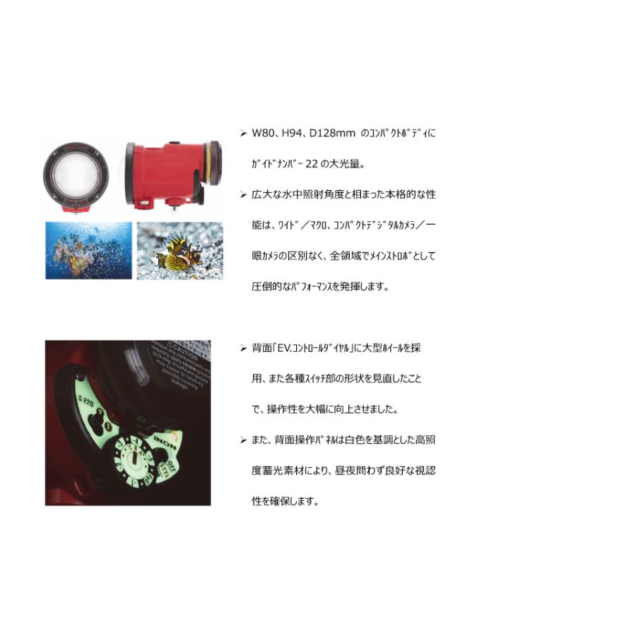 INON イノン S-220 水中ストロボ ダイビング ストロボ 水中撮影 INON イノン S-220 水中ストロボ ダイビング ストロボ 水中撮影