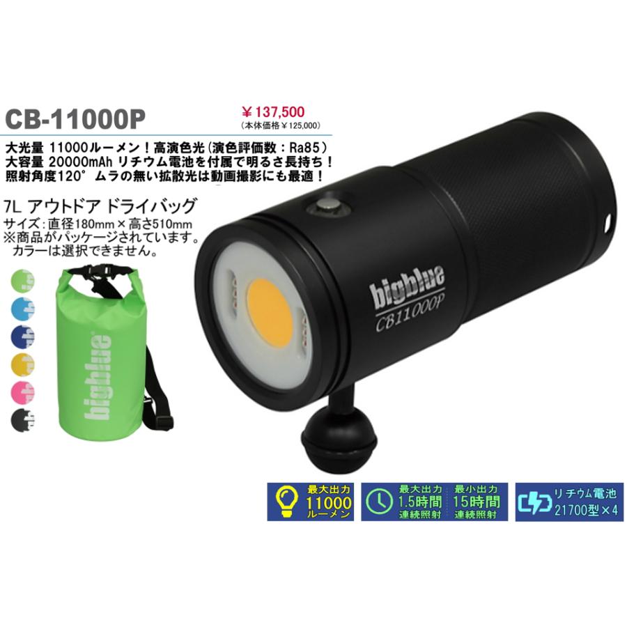 ZERO BIGBLUE ビッグブルー 水中ライト CB-11000P 11000ルーメン