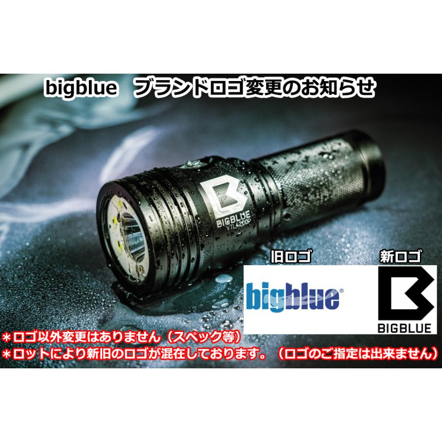 ZERO BIGBLUE ビッグブルー 水中ライト CB-11000P 11000ルーメン