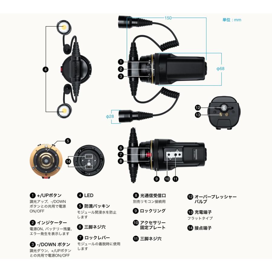 RGBlue TWIN LIGHT SYSTEM02:re PREMIUM COLOR アールジーブルー