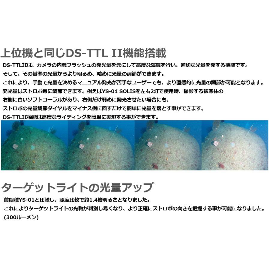 SEA&SEA SEA&SEA シーアンドシー 水中ストロボ 水中カメラ 水中 SEA&SEA SEA&SEA シーアンドシー 水中ストロボ 水中カメラ 水中