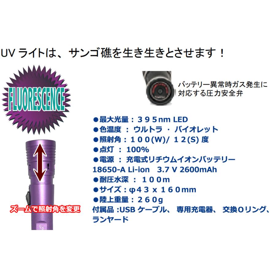 水中uvライトセット　フローダイビングにどうぞ MU-7592 TOVATEC UV01 UV ライト 395nm パープル 水中ライト